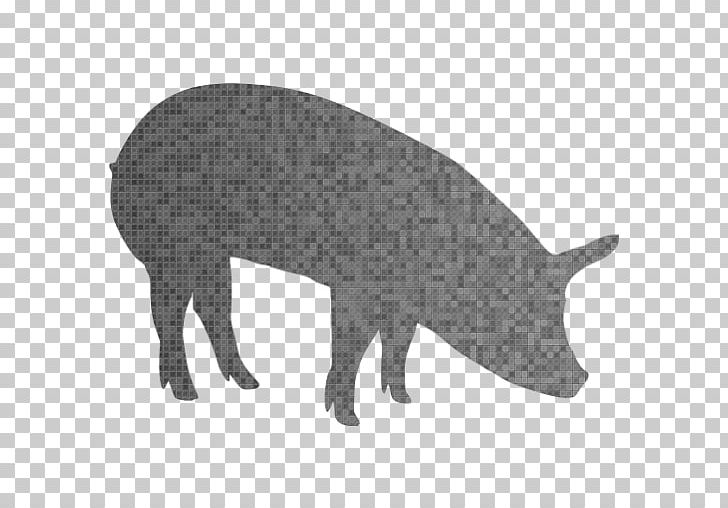 Pig Gray Wolf Computer Icons Hippopotamus Tiger PNG, Clipart, Animals, Black, Black And White, Canidae, Carnivoran Free PNG Download
