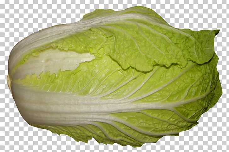 Red Cabbage Romaine Lettuce Napa Cabbage PNG, Clipart, Cabbage, Chinese Cabbage, Food, Kimchi, Leaf Vegetable Free PNG Download