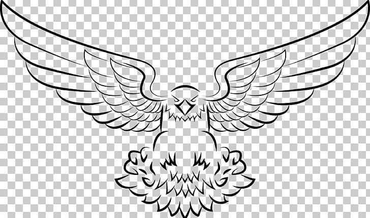CrossFit Ridgewood Bald Eagle Drawing PNG, Clipart, Animals, Artwork, Bald Eagle, Beak, Bird Free PNG Download