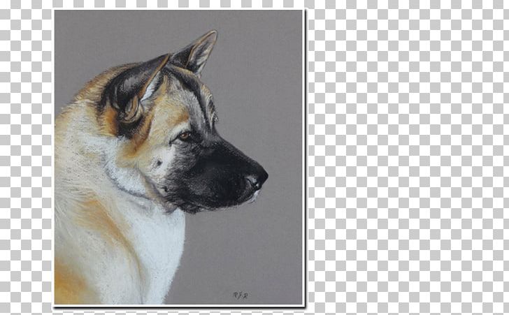 Dog Breed Akita Snout PNG, Clipart, Akita, Breed, Carnivoran, Dog, Dog Breed Free PNG Download