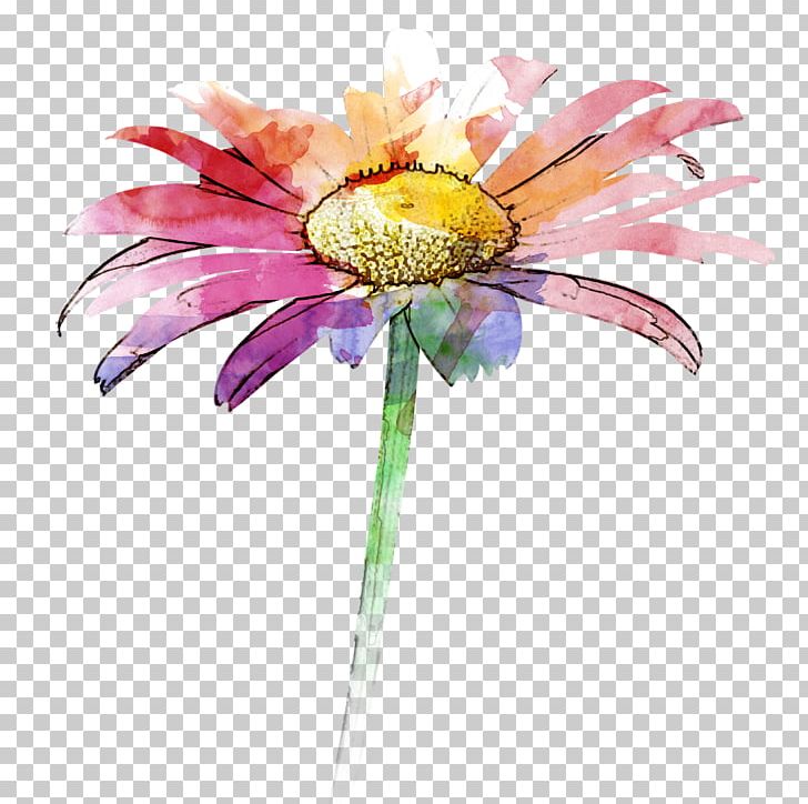 Gerbera Jamesonii Watercolor Painting PNG, Clipart, Chrysanthemum Chrysanthemum, Chrysanthemums, Chrysanthemum Vector, Daisy Family, Encapsulated Postscript Free PNG Download