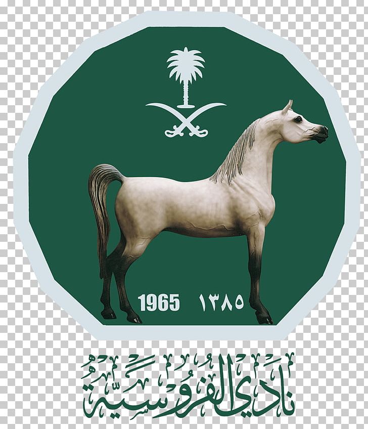 Horse نادي الفروسية في الرياض Equestrian Racing PNG, Clipart, Abdullah Of Saudi Arabia, Animals, Blog, Breeches, Consultant Free PNG Download