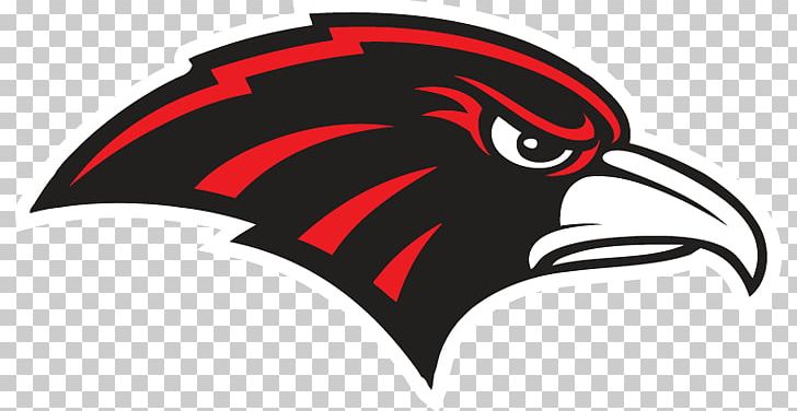 Murrieta Valley High School Vista Murrieta High School Nighthawk Way Chaparral High School PNG, Clipart, Automotive Design, Beak, Bicycle Helmet, Bird, Bird Of Prey Free PNG Download