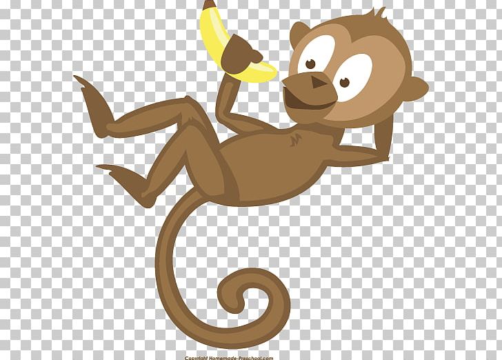Primate Monkey Animal Tail PNG, Clipart, Animal, Animals, Carnivora, Carnivoran, Cartoon Free PNG Download