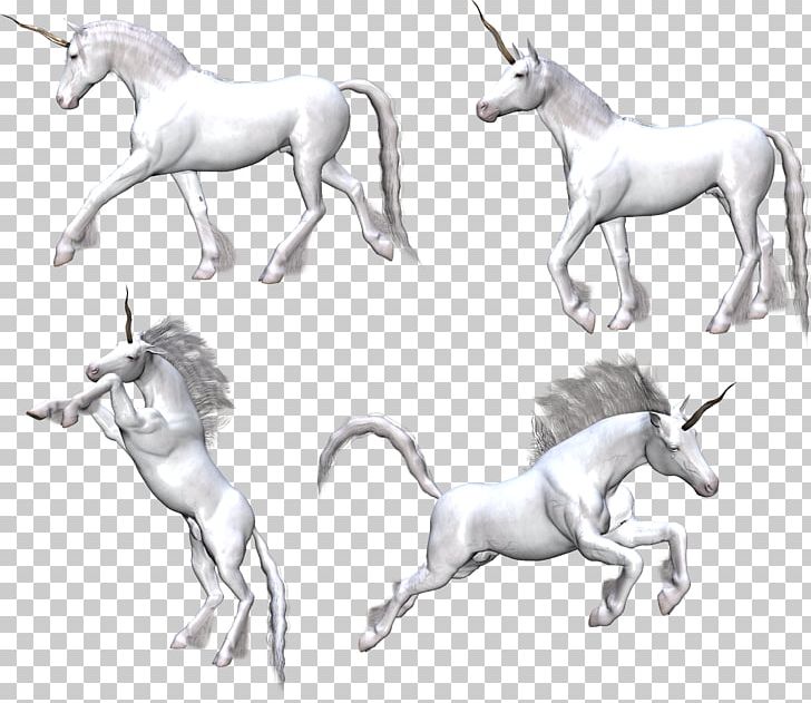 Unicorn Drawing PNG, Clipart, Art, Artwork, Black And White, Colt, Computer Icons Free PNG Download