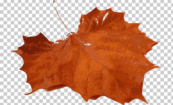 Autumn Leaf Color Maple Leaf PNG, Clipart, Autumn, Autumn Leaf Color, Computer Icons, Fall, Green Free PNG Download