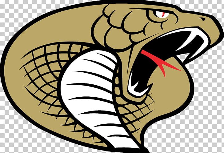 Hudson High School Carolina Cobras Arena Football League Logo PNG, Clipart, Anaconda, Animals, Arena Football League, Artwork, Beak Free PNG Download