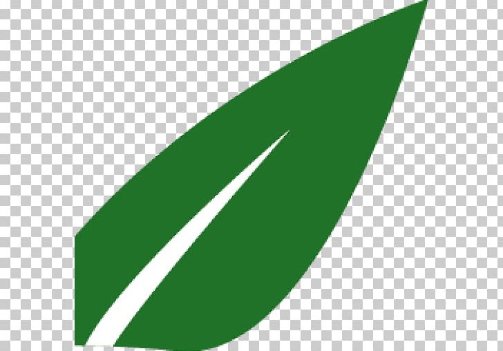 Line Leaf Angle PNG, Clipart, Angle, Art, Grass, Green, Leaf Free PNG Download
