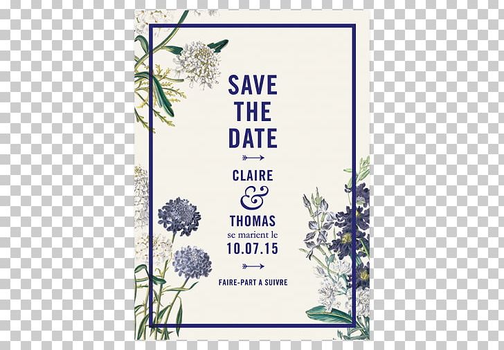 Wedding Invitation Floral Design Save The Date Botanical Garden Botany PNG, Clipart, Botanical Garden, Botany, Branch, Convite, Cut Flowers Free PNG Download