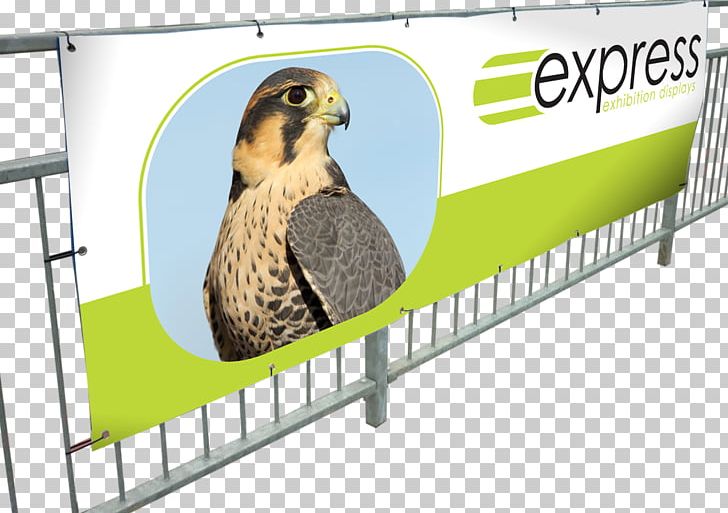 Banner Advertising Printing Panagrafica PNG, Clipart, Advertising, Advertising Mail, Banner, Beak, Bird Free PNG Download