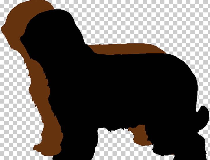 Dog Breed Briard Bearded Collie Bouvier Des Flandres Bernese Mountain Dog PNG, Clipart, Animals, Bearded Collie, Bernese Mountain Dog, Bouvier Des Flandres, Breed Free PNG Download