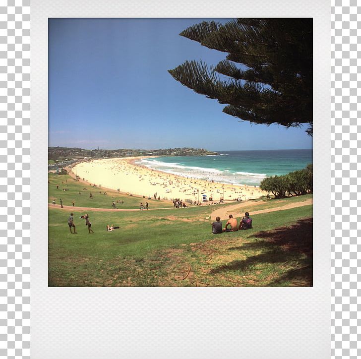 Shore Land Lot Stock Photography Ecoregion PNG, Clipart, Bay, Bondi Beach, Coast, Ecoregion, Grass Free PNG Download