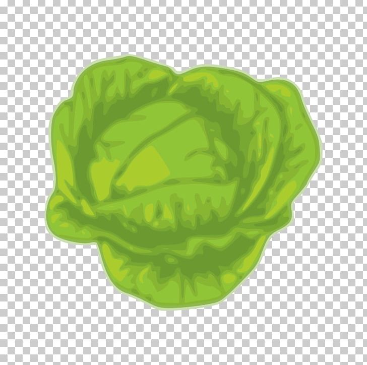 Cabbage Stock Photography Vegetable Art PNG, Clipart, Art, Cabbage, Culture, Dance, Drawing Free PNG Download