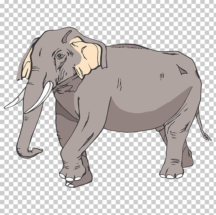 Asian Elephant PNG, Clipart, African Elephant, Animals, Asian Elephant, Blog, Carnivoran Free PNG Download