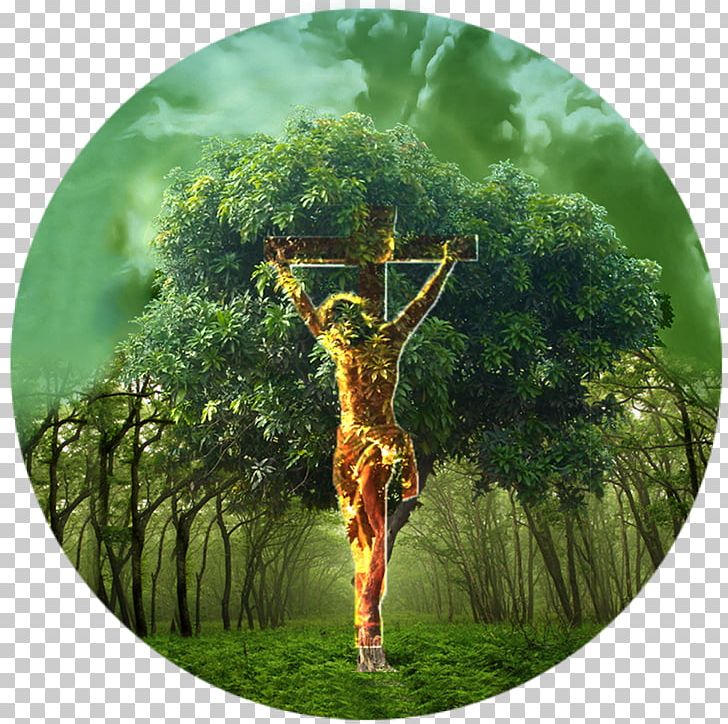 Bible Tree Of Life Garden Of Eden Genesis PNG, Clipart, Adam, Bible, Christian Cross, Cross, Family Tree Free PNG Download