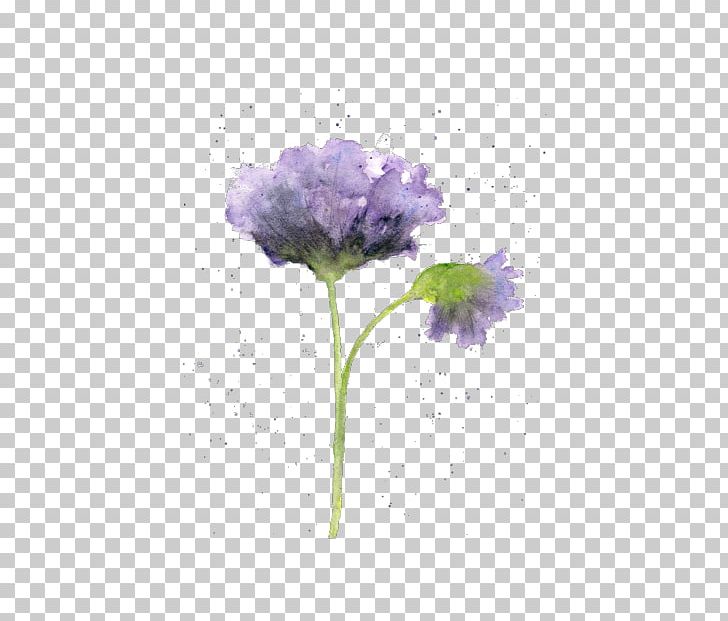 Watercolour Flowers Watercolor Painting Drawing PNG, Clipart, Abstract Art, Art, Art Museum, Beginners, Drawing Free PNG Download