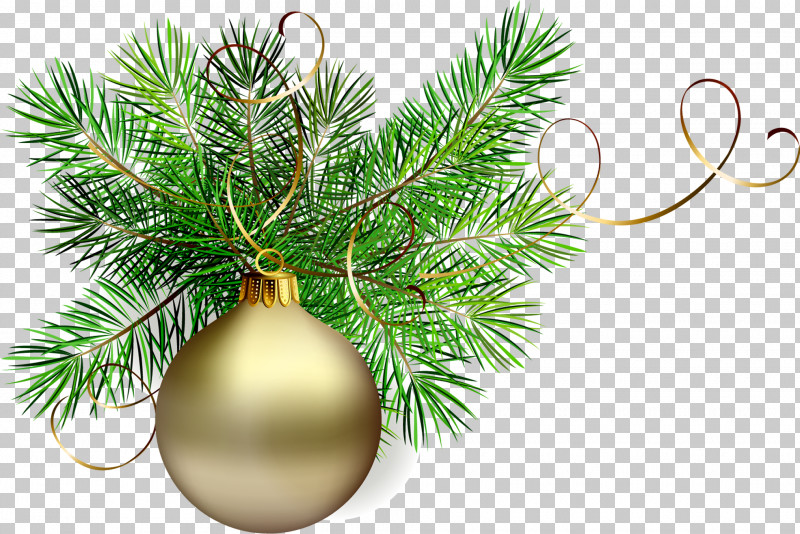 Christmas Tree PNG, Clipart, American Larch, Branch, Christmas, Christmas Decoration, Christmas Ornament Free PNG Download