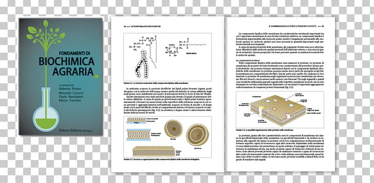 Graphic Design Page Layout Industrial Design Prepress PNG, Clipart, Art, Book, Brand, Brochure, Catalog Free PNG Download