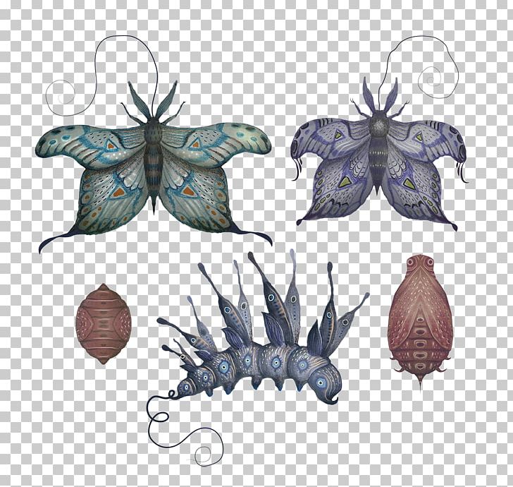 Butterfly Insect Wing Graphics Illustration PNG, Clipart, Butterflies And Moths, Butterfly, Insect, Insects, Invertebrate Free PNG Download