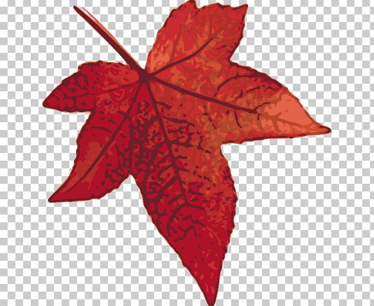 Maple Leaf PNG, Clipart, Autumn, Autumn Leaf Color, Computer Icons, Drawing, Images Of Maple Leaves Free PNG Download