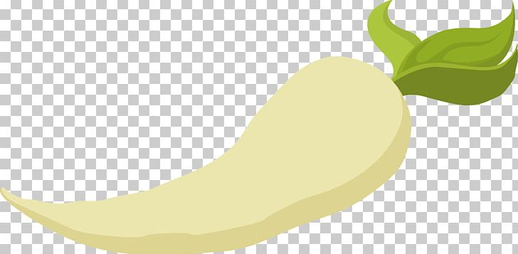 Parsnip Vegetable Food PNG, Clipart, Cabbage, Carrot, Chinese Cabbage, Computer, Computer Icons Free PNG Download
