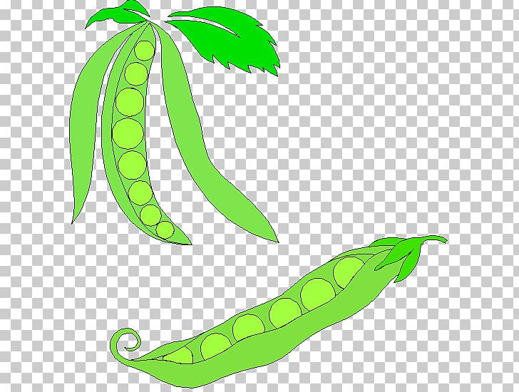 Snap Pea Vegetable PNG, Clipart, Artwork, Download, Food, Fruit, Leaf Free PNG Download