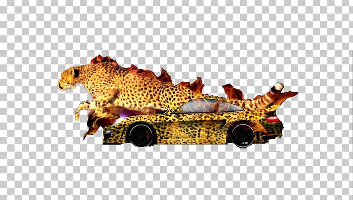 Wildlife PNG, Clipart, Car, Cool, Cool Backgrounds, Cool Borders, Cool Box Free PNG Download