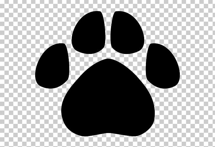 Leopard Bear Tiger Dog Animal Track PNG, Clipart, Animal, Animal Print, Animals, Animal Track, Bear Free PNG Download