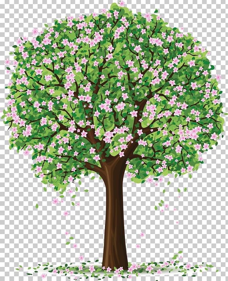 Tree Spring PNG, Clipart, Blossom, Branch, Cherry Blossom, Clip Art, Drawing Free PNG Download