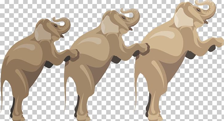 Dog Thailand Elephant PNG, Clipart, Animal, Animals, Animation, Baby Elephant, Carnivoran Free PNG Download