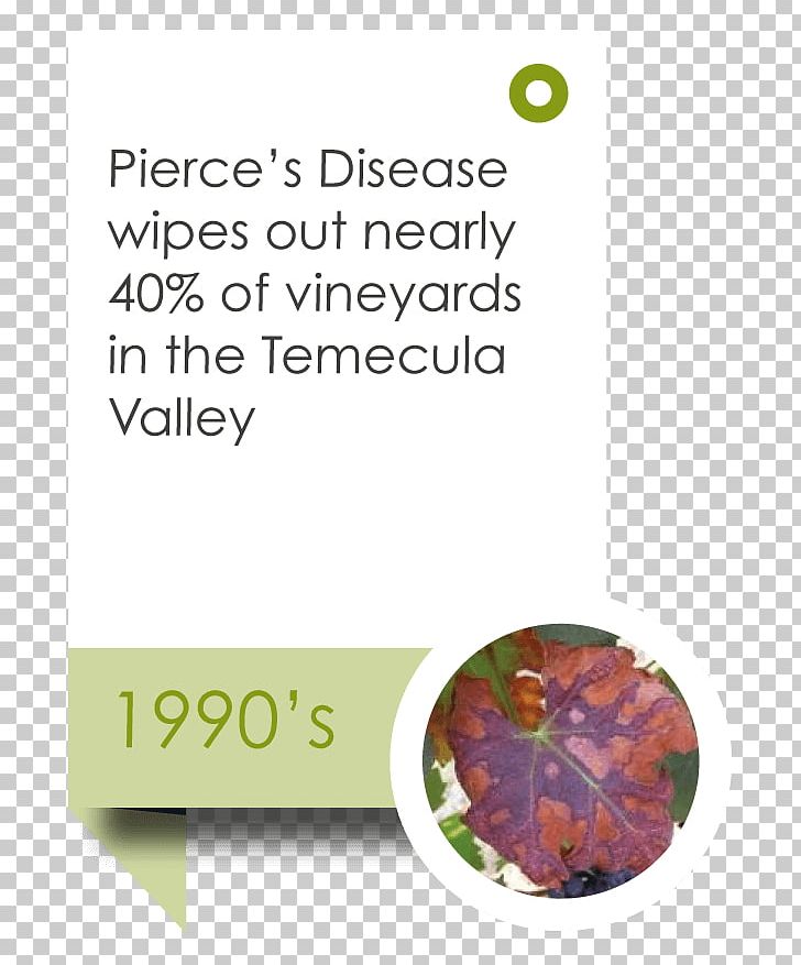 Temecula Valley Winegrowers Association Wine Tasting Information PNG, Clipart, Anniversary, Brand, Information, Leaf, News Free PNG Download