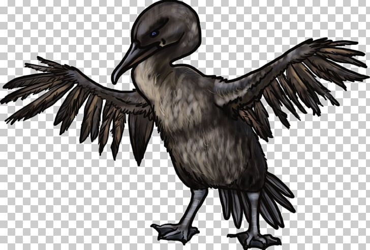 Cormorant PNG, Clipart, Beak, Bird, Bird Of Prey, Cormorant, Crane Like Bird Free PNG Download