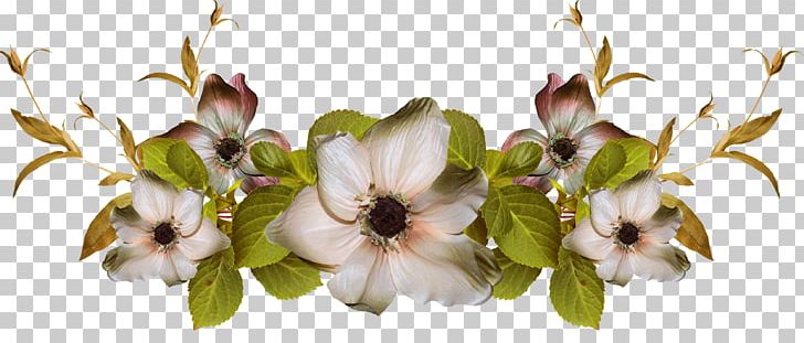 Frames Flower Floral Design PNG, Clipart, Barre, Blog, Blossom, Branch, Brown Free PNG Download