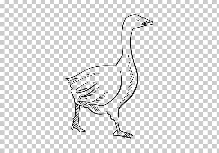 Goose Duck Drawing Ganso Sketch PNG, Clipart, Animals, Artwork, Beak, Bird, Black And White Free PNG Download