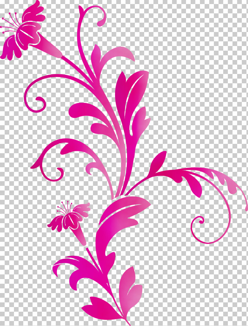 Pedicel Leaf Plant Flower Magenta PNG, Clipart, Decoration Frame, Floral Frame, Flower, Flower Frame, Leaf Free PNG Download