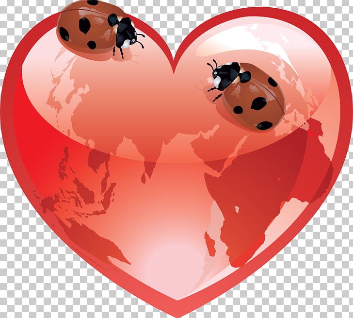 Heart Vinegar Valentines PNG, Clipart, Clip Art, Desktop Wallpaper, Duckling, Heart, Keyboard Shortcut Free PNG Download