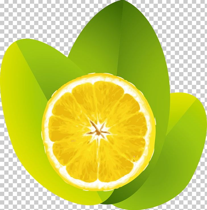 Lemon Juice Lime PNG, Clipart, Citrus, Computer Wallpaper, Encapsulated Postscript, Food, Fresh Lemon Free PNG Download