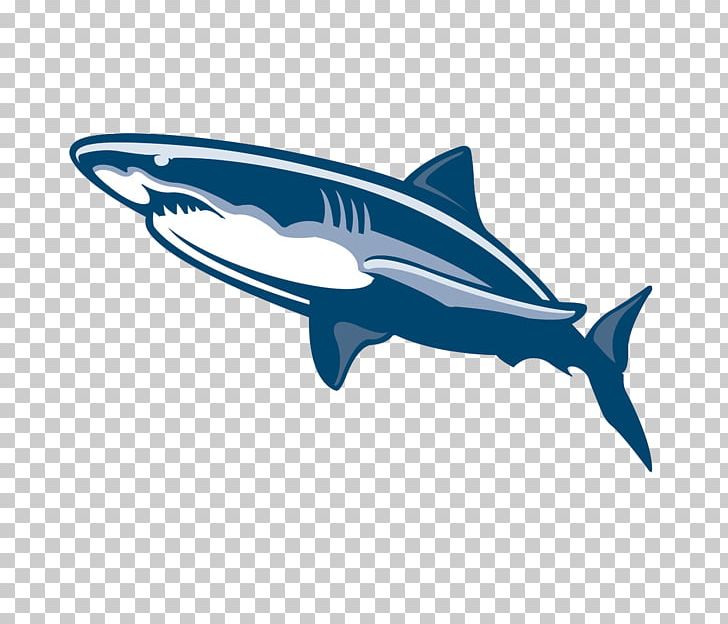 Shark Fish Drawing Illustration PNG, Clipart, Animal, Animals, Balloon Cartoon, Blue, Boy Cartoon Free PNG Download