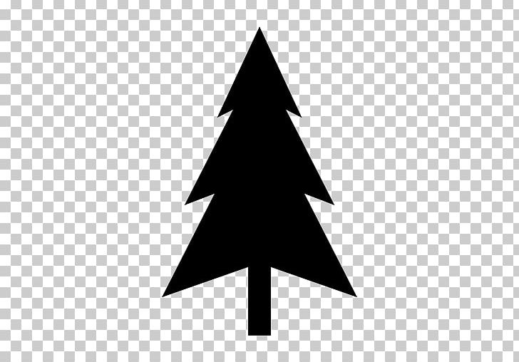 YeşilVadi Macera Park Pine Christmas Tree PNG, Clipart, Angle, Arecaceae, Black And White, Branch, Christmas Decoration Free PNG Download