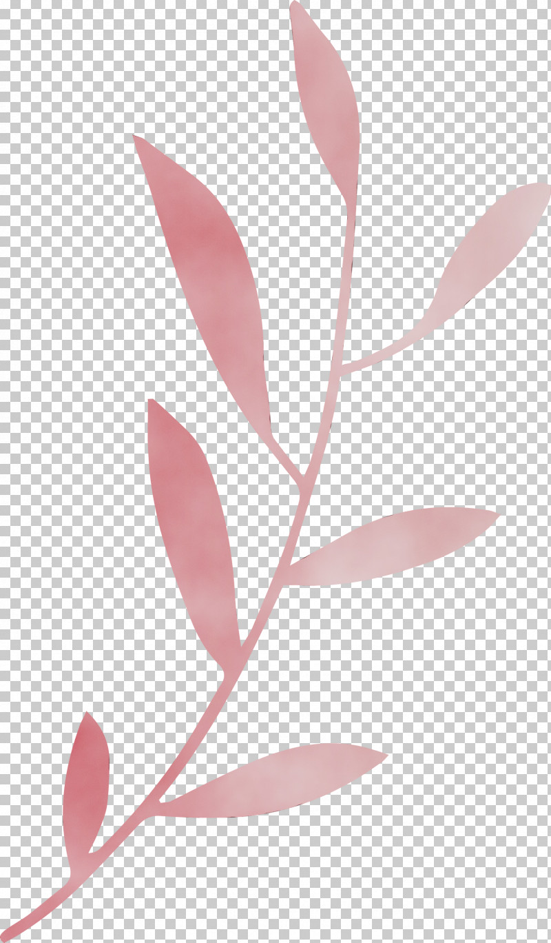 Leaf Pink M Plants Science Plant Structure PNG, Clipart, Biology, Leaf, Leaf Branch, Paint, Pink M Free PNG Download