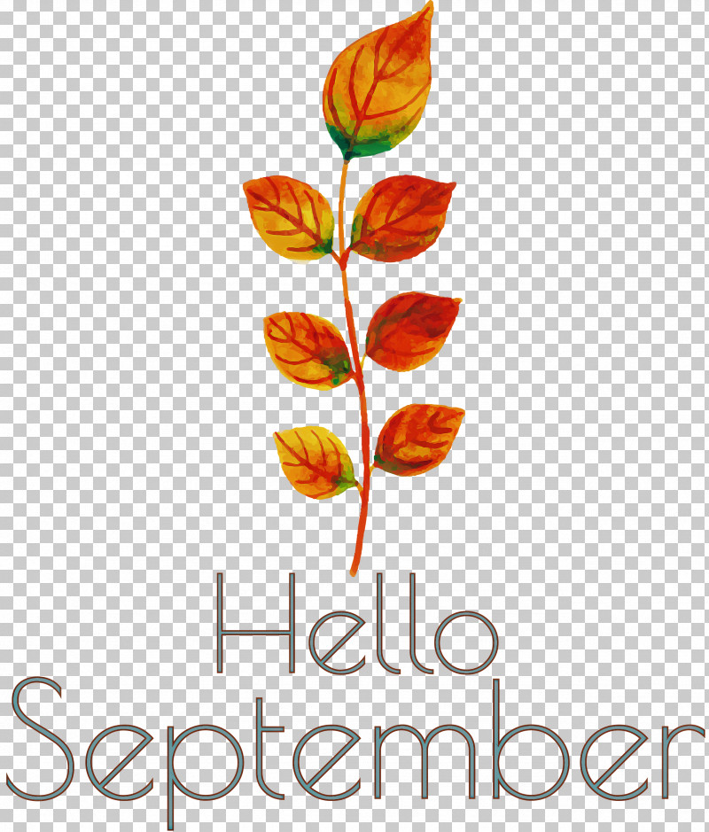 Hello September September PNG, Clipart, Biology, Branching, Cut Flowers, Flower, Hello September Free PNG Download