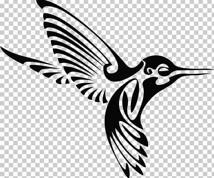 Hummingbird Silhouette Drawing PNG, Clipart, Animal, Animals, Beak, Bird, Black And White Free PNG Download