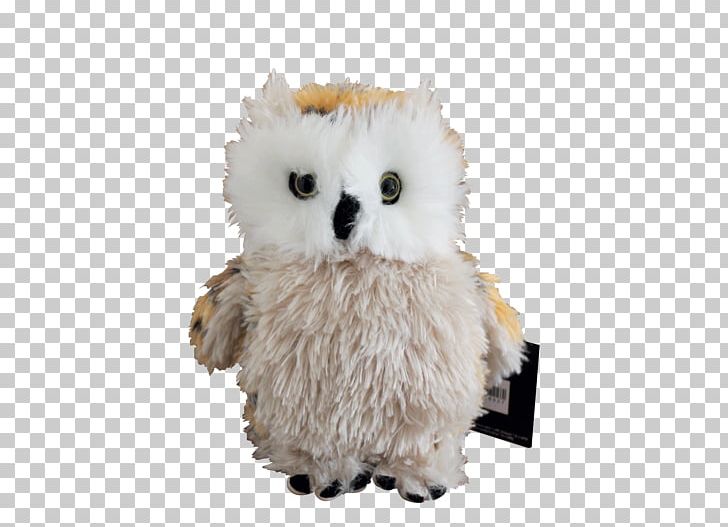 Owl Harry Potter And The Cursed Child Hedwig Stuffed Animals & Cuddly Toys Beak PNG, Clipart, Animals, Beak, Bird, Bird Of Prey, Child Free PNG Download