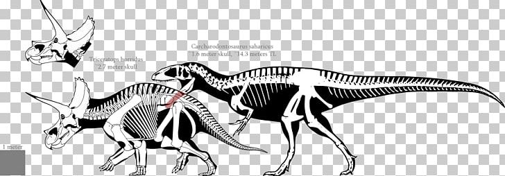 Tyrannosaurus Carcharodontosaurus Triceratops Giganotosaurus Torosaurus PNG, Clipart, Carcharodontosaurus, Carnivore, Drawing, Einiosaurus, Fantasy Free PNG Download
