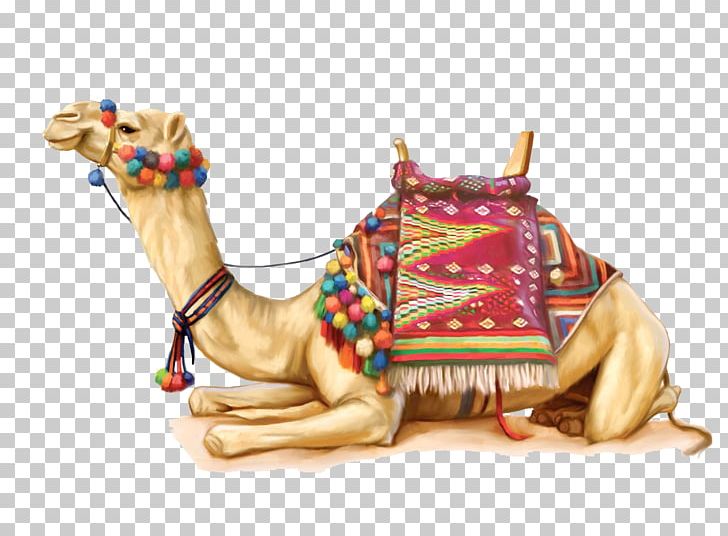 Camel PNG, Clipart, Camel Free PNG Download