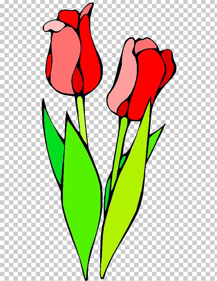 Floral Design Graphics Flower Tulip PNG, Clipart, Area, Art, Artwork, Cartoon, Computer Free PNG Download