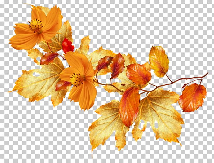 Flower Autumn Desktop PNG, Clipart, Autumn, Branch, Desktop Wallpaper, Encapsulated Postscript, Flower Free PNG Download