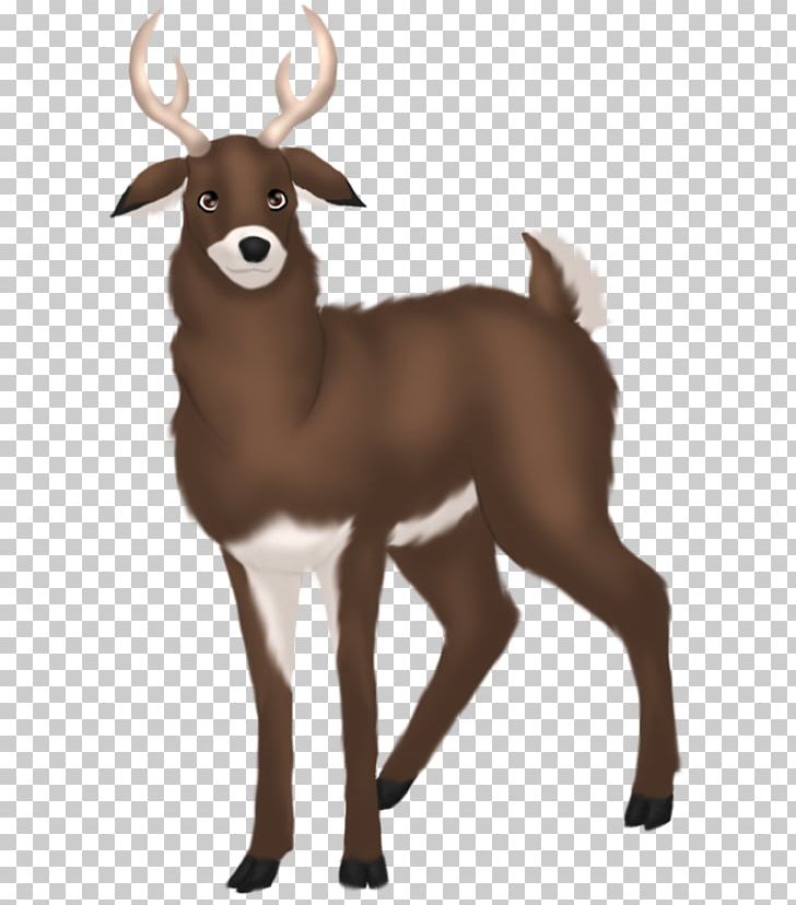 Reindeer Goat Dog Horn Wildlife PNG, Clipart, Antler, Cartoon, Cow Goat Family, Deer, Deers Free PNG Download