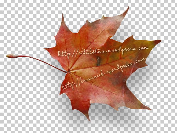 Autumn Poems .de Germany Щільність твердої фази ґрунту PNG, Clipart, Autumn, Bracket, Germany, Idea, Leaf Free PNG Download