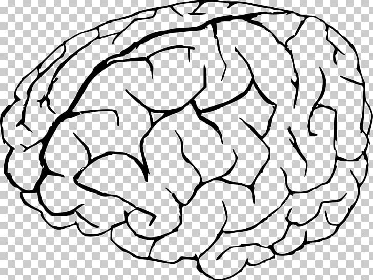 Brain Free Content PNG, Clipart, Area, Black And White, Brain, Brain Cliparts, Cartoon Free PNG Download